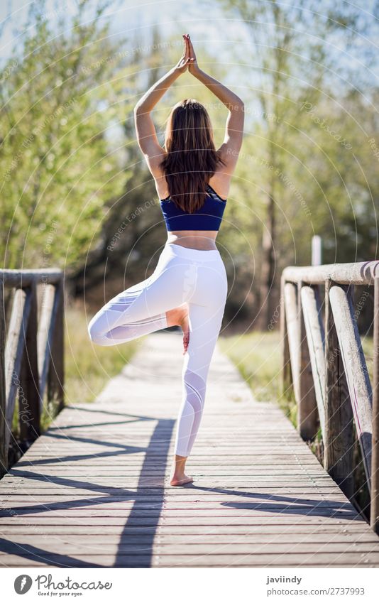 Junge schöne Frau, die Yoga in der Natur macht. Lifestyle Glück Körper Erholung Meditation Sommer Sport Mensch feminin Erwachsene Jugendliche 1 30-45 Jahre Baum