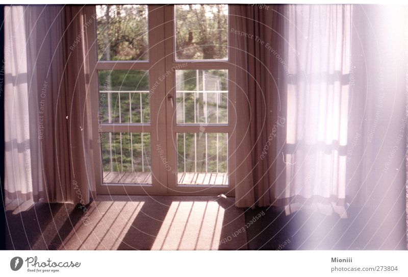 Guten Morgen Innenarchitektur Dekoration & Verzierung Fenster Fensterscheibe Fensterblick Gardine Sonnenlicht Frühling Garten Glück schön positiv Wärme grün