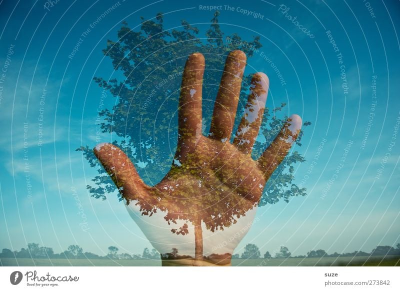 Save the nature Hand Finger Umwelt Natur Landschaft Pflanze Urelemente Himmel Horizont Klima Klimawandel Schönes Wetter Baum blau Schutz Verantwortung