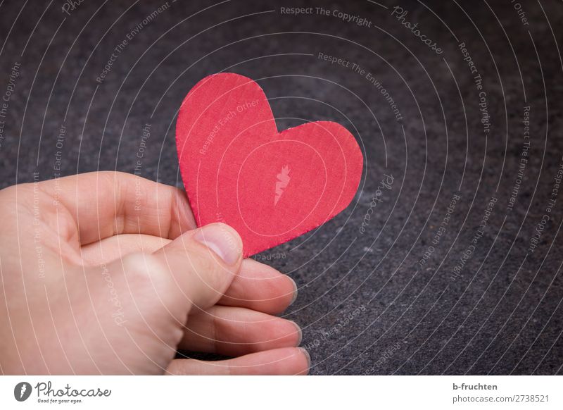 Herz für dich Valentinstag Hochzeit Taufe Mann Erwachsene Hand Finger Papier Dekoration & Verzierung Zeichen wählen festhalten Liebe dunkel rot Sympathie