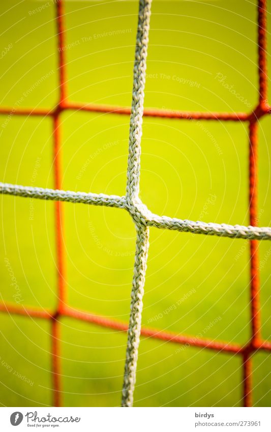 Netzwerk Fußballtor grün rot Sport Symmetrie Synthese Knotenpunkt Vor hellem Hintergrund 2 Farbfoto mehrfarbig Außenaufnahme Menschenleer Textfreiraum oben