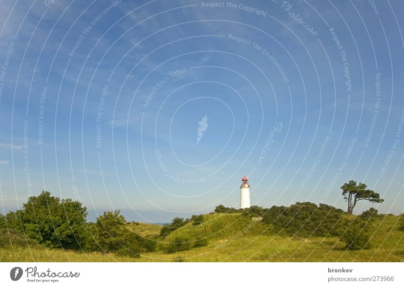 Großer Leuchtturm 003, Hiddensee Landschaft Himmel Ostsee Menschenleer Wahrzeichen Schifffahrt entdecken Erholung blau grün Gelassenheit Unendlichkeit Farbfoto