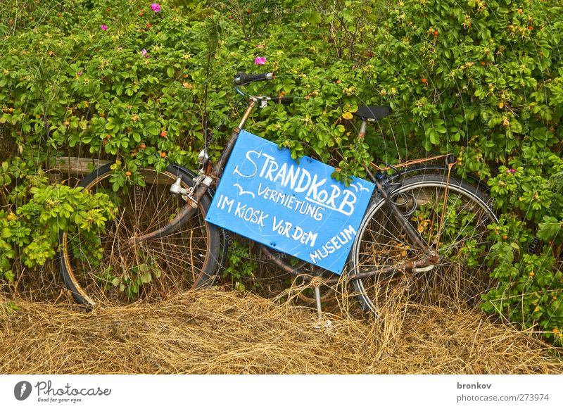Strandkorbvermietung Wellness ruhig Kur Tourismus Sonnenbad Insel Sträucher Ostsee Menschenleer Fahrrad Erholung blau grün Farbfoto Außenaufnahme Morgen