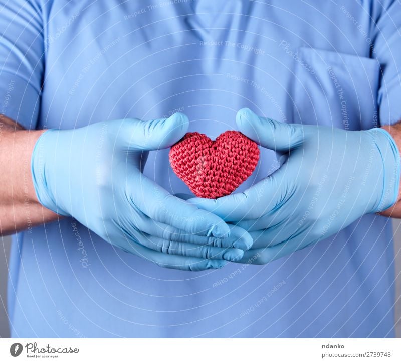 Arzt mit blauen Latexhandschuhen, die ein rotes Herz halten. Gesundheit Gesundheitswesen Krankheit Medikament Krankenhaus Mensch Mann Erwachsene Hand berühren