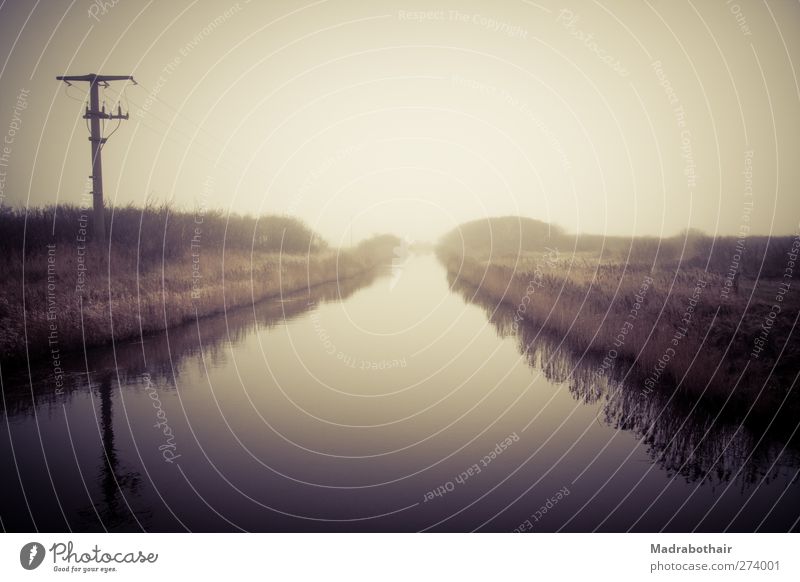 am Fluss Natur Landschaft Wasser Himmel Horizont Nebel Schilfrohr Föhr Deutschland Menschenleer Stimmung Einsamkeit Idylle ruhig mystisch Feuchtwiese Riedgras
