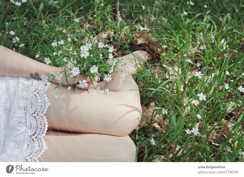 schneeweißchen ohne rosenrot feminin Junge Frau Jugendliche Erwachsene Hand Beine 1 Mensch 18-30 Jahre Natur Sonnenlicht Frühling Sommer Blume Gras Mode Kleid
