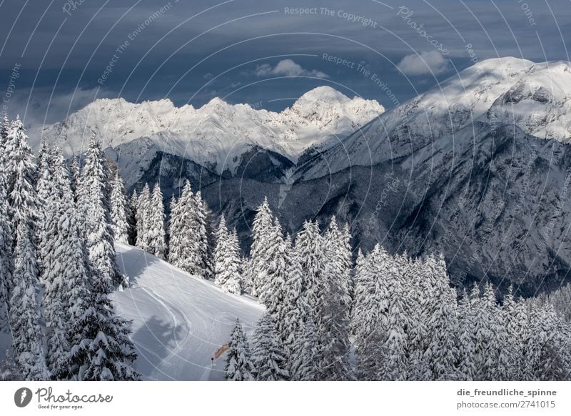 Winter in Tirol Umwelt Natur Landschaft Pflanze Himmel Wolken Wetter Schönes Wetter Wind Eis Frost Schnee Baum Nadelbaum Alpen Berge u. Gebirge Patscherkofel
