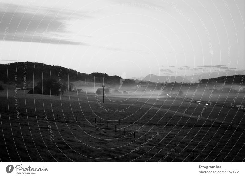 Morgendämmerung Natur Landschaft Pflanze Frühling Herbst Nebel Wiese Autobahn PKW geheimnisvoll Schwarzweißfoto Außenaufnahme Schatten Kontrast Silhouette