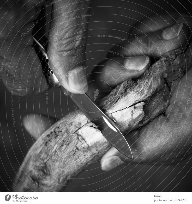 Materialprüfung Arbeit & Erwerbstätigkeit Handwerk Finger Klappmesser Werkzeug Messer Holz festhalten dunkel Leidenschaft Wachsamkeit geduldig Leben Ausdauer
