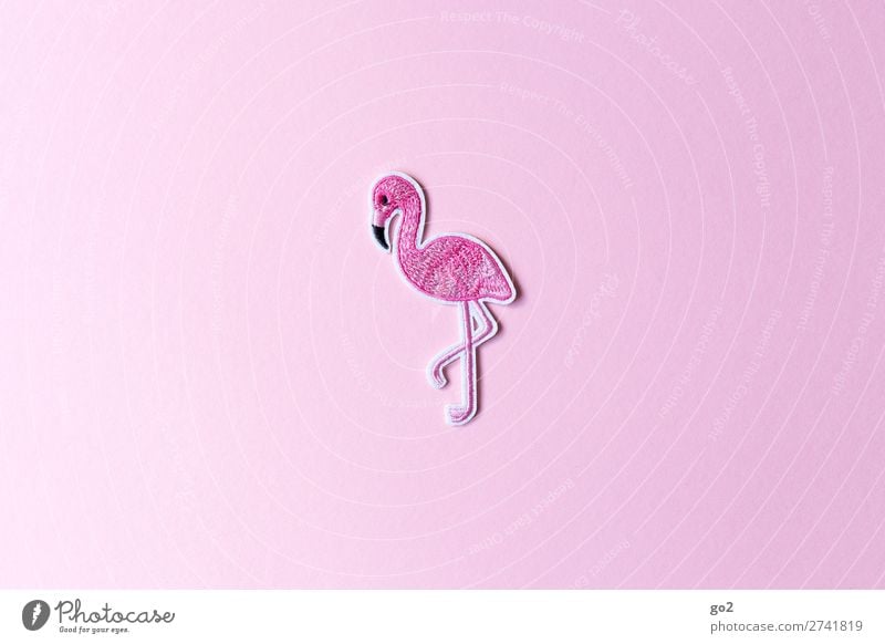 Flamingo Tier Wildtier Vogel 1 Dekoration & Verzierung Stoff Zeichen ästhetisch außergewöhnlich rosa Farbfoto Innenaufnahme Studioaufnahme Nahaufnahme