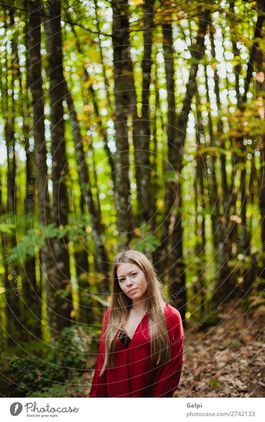 Schöne Frau in einem schönen Wald Lifestyle Glück Gesicht Freiheit Mensch Erwachsene Natur Herbst Wind Baum Park Mode blond Lächeln Erotik frisch lang natürlich