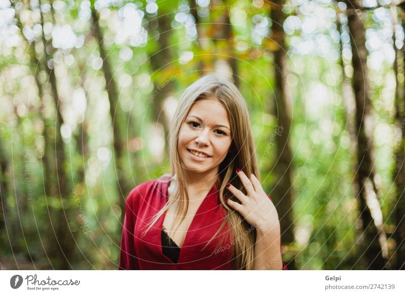 Schöne Frau in einem schönen Wald Lifestyle Glück Gesicht Freiheit Mensch Erwachsene Natur Herbst Wind Baum Park Mode blond Lächeln Erotik frisch lang natürlich