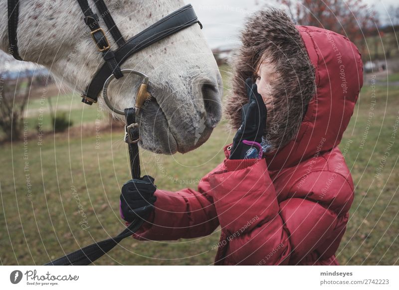Mädchen in roter Winterjacke spricht mit ihrem Pferd Reiten feminin Kind Kindheit 1 Mensch 3-8 Jahre Natur Wiese Jacke Fell Kapuze Tier berühren sprechen