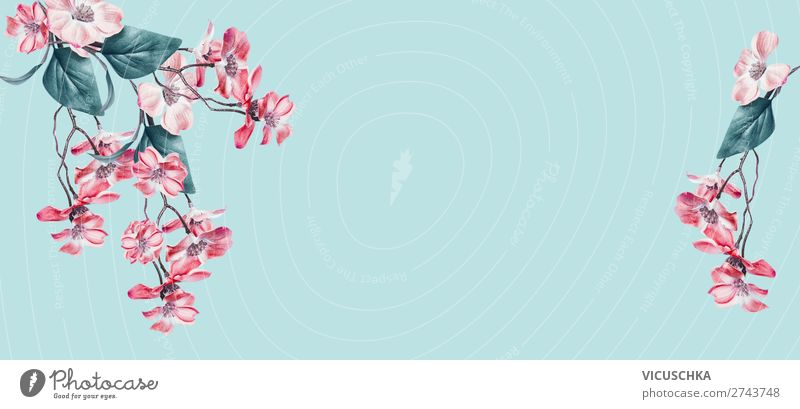 Rosa Blumen an blauem Hintergrund Stil Design Feste & Feiern Natur Dekoration & Verzierung Blumenstrauß abstrakt Hintergrundbild rosa türkis hängen Fahne Rahmen