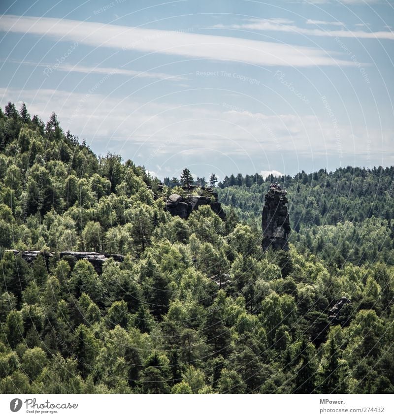 tisa Ferien & Urlaub & Reisen Tourismus Ausflug Abenteuer Ferne Freiheit Natur Himmel Wolken Baum blau grün Berge u. Gebirge Gipfel Wald Sommer Klettern