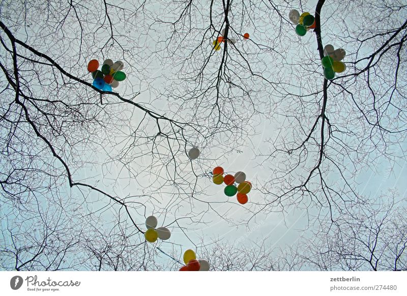 Luftballons Lifestyle Freizeit & Hobby Spielen Winter Feste & Feiern Umwelt Natur Baum gut mehrfarbig Schmuck Dekoration & Verzierung Himmel hell Farbfoto
