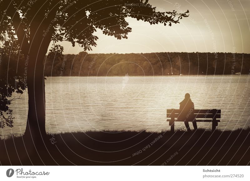 am See Wellen feminin Frau Erwachsene 1 Mensch Natur Landschaft Wasser Herbst Baum Seeufer Flussufer Blick sitzen wandern warten Liebeskummer Fernweh Einsamkeit
