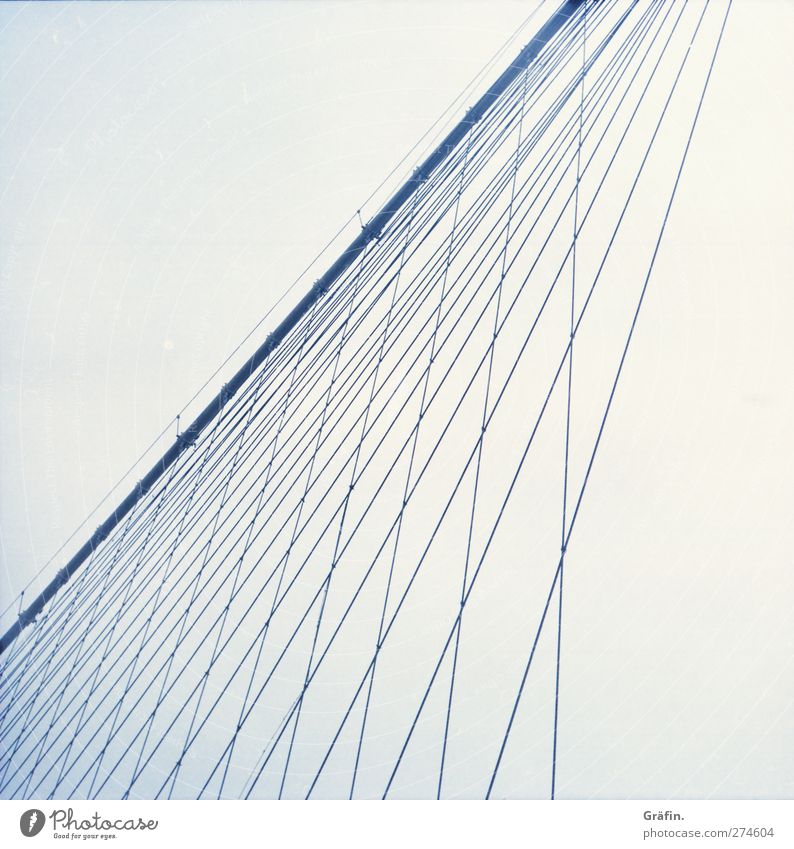 Brooklyn Bridge Ferien & Urlaub & Reisen Tourismus Städtereise Menschenleer Brücke Bauwerk Gebäude Metall Unendlichkeit kalt blau Kraft Linie Farbfoto