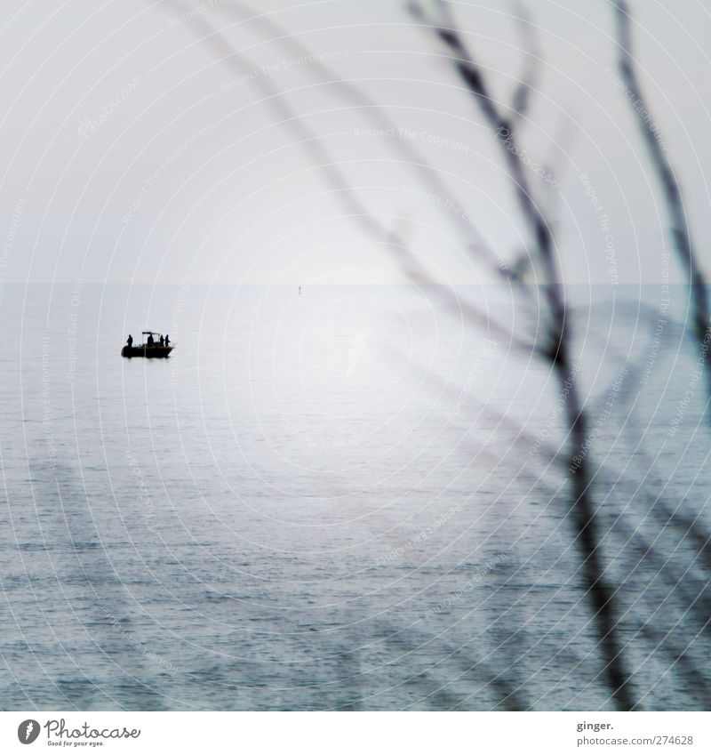 Hiddensee | Stiller Moment Ausflug Meer Stimmung ruhig stahlblau Horizont Sträucher Aussicht Einsamkeit Momentaufnahme Wasserfahrzeug Bootsfahrt Ferne