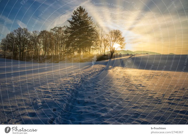 Winterlandschaft mit Sonnenaufgang harmonisch Wohlgefühl Erholung ruhig Schnee Natur Sonnenuntergang Sonnenlicht Schönes Wetter Baum Wald Hügel Fußspur