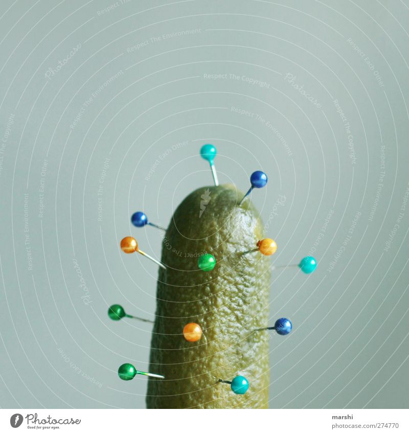 Akupunktur Lebensmittel Gemüse Ernährung blau gelb grün Gurke Nadel Kaktus lustig Stachel Sexualität Piercing stechen Spitze anstößig Farbfoto