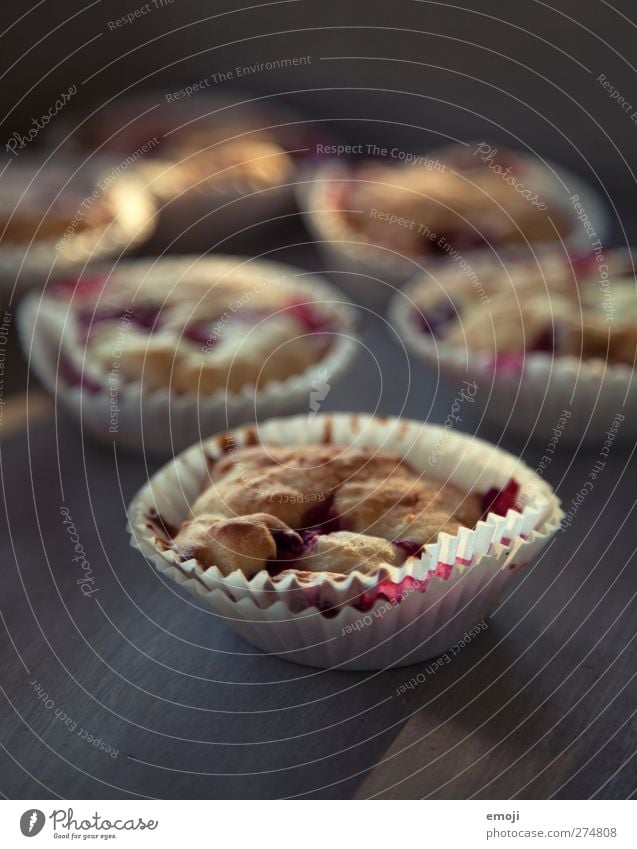 Quark-Himbeer-Muffins Teigwaren Backwaren Süßwaren Ernährung Slowfood Fingerfood lecker süß Farbfoto Innenaufnahme Nahaufnahme Detailaufnahme Makroaufnahme