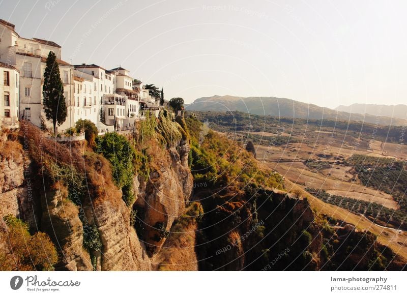 Ronda [LIV] Baum Sträucher Hügel Felsen Schlucht Andalusien Spanien Stadtrand Altstadt bevölkert Haus Sehenswürdigkeit Wahrzeichen außergewöhnlich hoch weiß