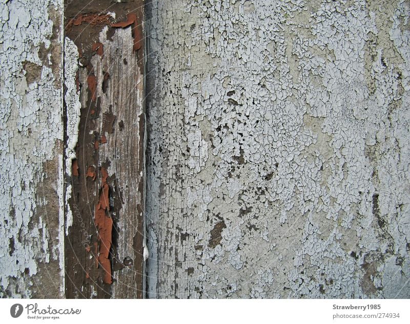 Nicht nur der erste Lack ist ab... Hütte Mauer Wand Farbstoff Holz alt braun weiß verwittert verfallen Farbfoto Außenaufnahme Nahaufnahme Detailaufnahme