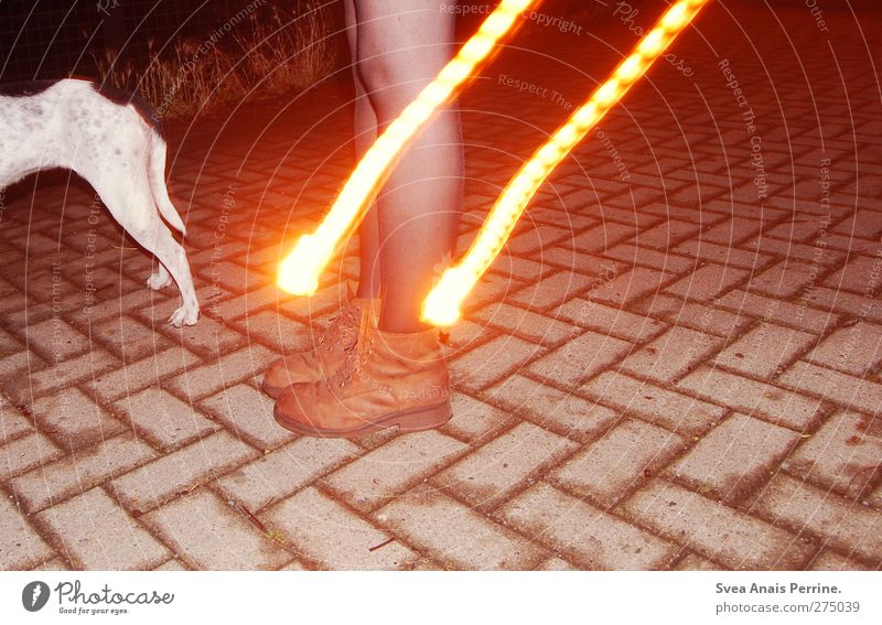 Licht &Lina. feminin Junge Frau Jugendliche Erwachsene Beine Fuß 1 Mensch Steinboden Straße Strumpfhose Leggings Schuhe Stiefel Tier Haustier Hund stehen