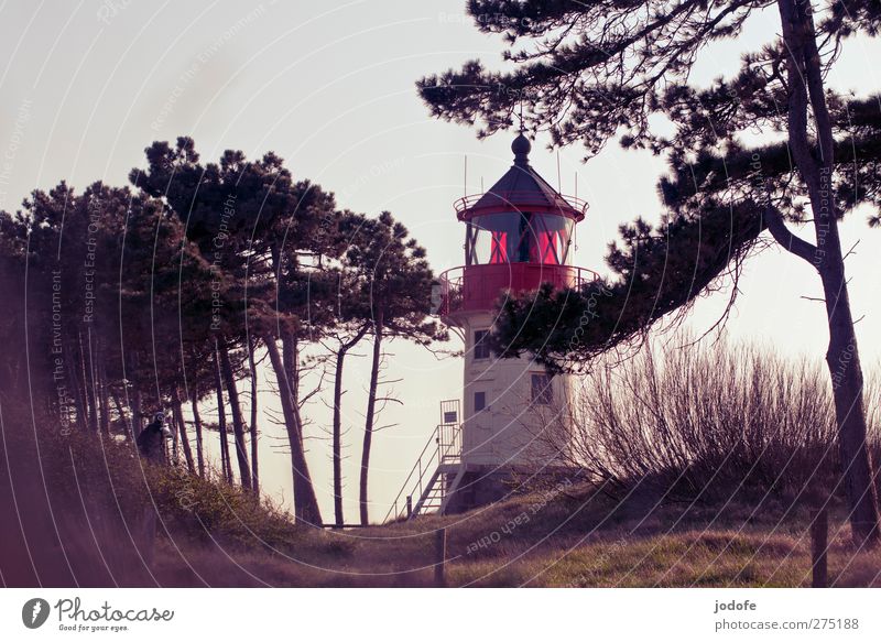 Hiddensee | feel it Umwelt Natur Landschaft Küste Ostsee rot Leuchtturm Abenddämmerung Stimmung Romantik Einsamkeit Lampe Bauwerk Kiefer Düne Aussicht