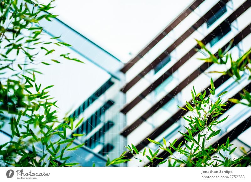 moderne urbane Business Architektur Stil Garten Büro Börse Unternehmen Pflanze Baum Blatt grün Bauhaus Bürogebäude Kohlendioxid Hintergrundbild geschmackvoll