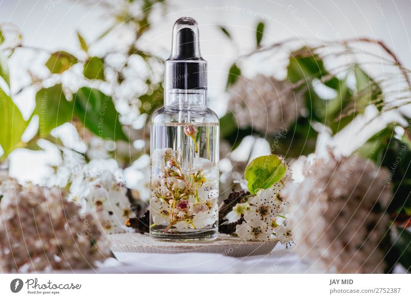 Ätherisches Öl, mit natürlichen Kirschblüten Kräuter & Gewürze Lifestyle Körperpflege Haare & Frisuren Gesundheitswesen Behandlung Alternativmedizin Medikament