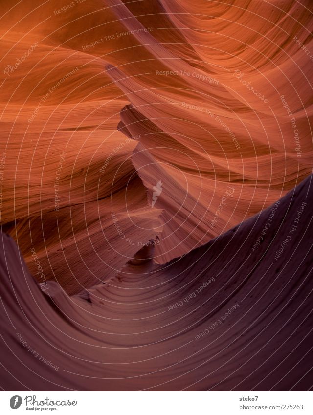 strukturelle Integrität Felsen Schlucht elegant rund violett orange rot Antelope Canyon sanft Strukturen & Formen Wellenform Sandstein Gedeckte Farben