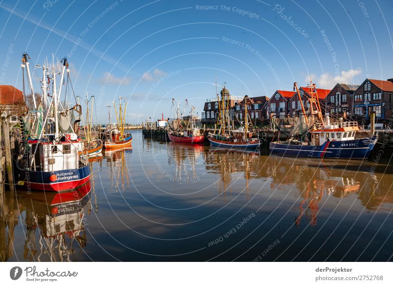 Fischereihafen an der Nordseeküste Weitwinkel Starke Tiefenschärfe Sonnenstrahlen Sonnenlicht Reflexion & Spiegelung Kontrast Schatten Textfreiraum links
