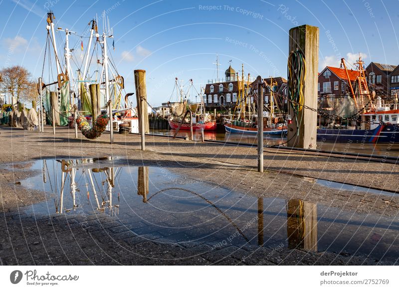 Fischereihafen an der Nordseeküste II Weitwinkel Starke Tiefenschärfe Sonnenstrahlen Sonnenlicht Reflexion & Spiegelung Kontrast Schatten Textfreiraum links