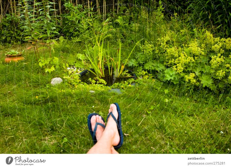 Biotop Wellness harmonisch Wohlgefühl Zufriedenheit Erholung ruhig Freizeit & Hobby Sommer Garten Mann Erwachsene Beine Fuß Umwelt Natur Pflanze sitzen