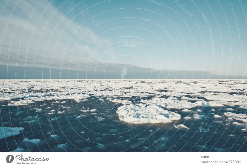 Eisland Umwelt Natur Landschaft Urelemente Luft Himmel Horizont Winter Klima Klimawandel Schönes Wetter Frost Schnee Küste Ostsee Meer außergewöhnlich kalt