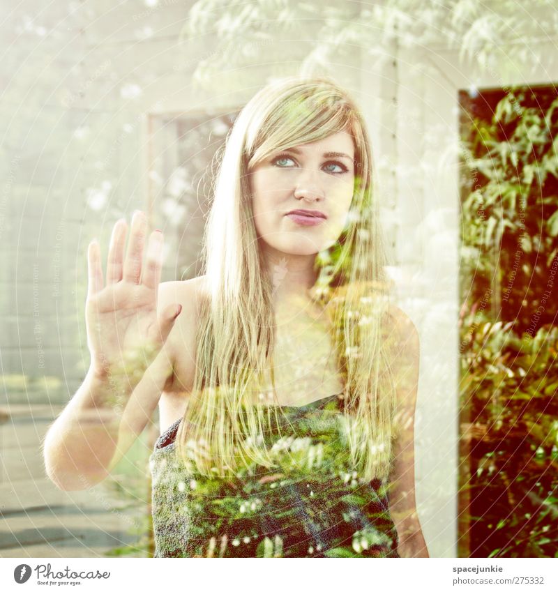 Behind the window Mensch feminin Junge Frau Jugendliche 1 18-30 Jahre Erwachsene Pflanze blond langhaarig beobachten berühren leuchten dünn gelb