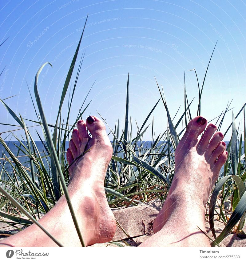 Sonnig, zeitweise heiter. Ferien & Urlaub & Reisen Mensch feminin Fuß 1 Himmel Wolkenloser Himmel Sommer Pflanze Dänemark Sand Wasser liegen blau grün Gefühle