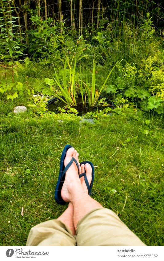 Meerblick Leben harmonisch Wohlgefühl Zufriedenheit Erholung ruhig Sommer Sommerurlaub Garten Mann Erwachsene Beine Fuß Umwelt Natur Klima Klimawandel Wetter