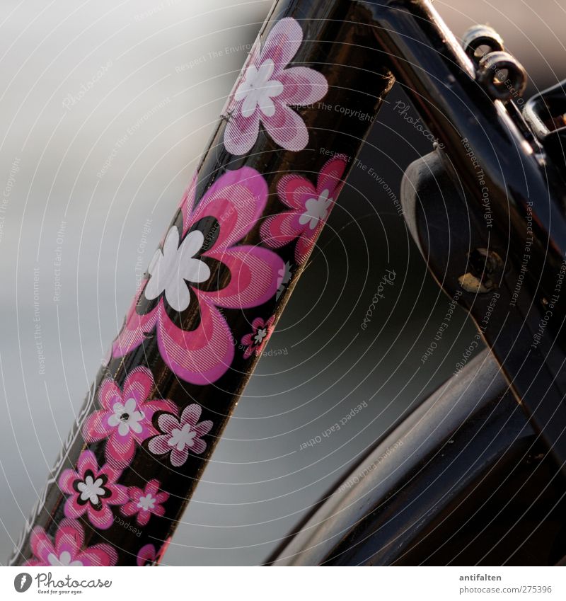 beautiful bicycle Freizeit & Hobby Fahrradfahren Etikett Blumenmuster Metall Stahl Rost Kunststoff trendy schön einzigartig positiv rosa schwarz Freude