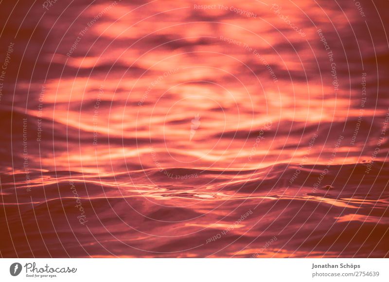 Textur Wasseroberfläche Wellen rosa 2019 Color of the Year 2019 Farbe des Jahres Farbtrends Hintergrundbild Korallen Living Coral Farbkarte