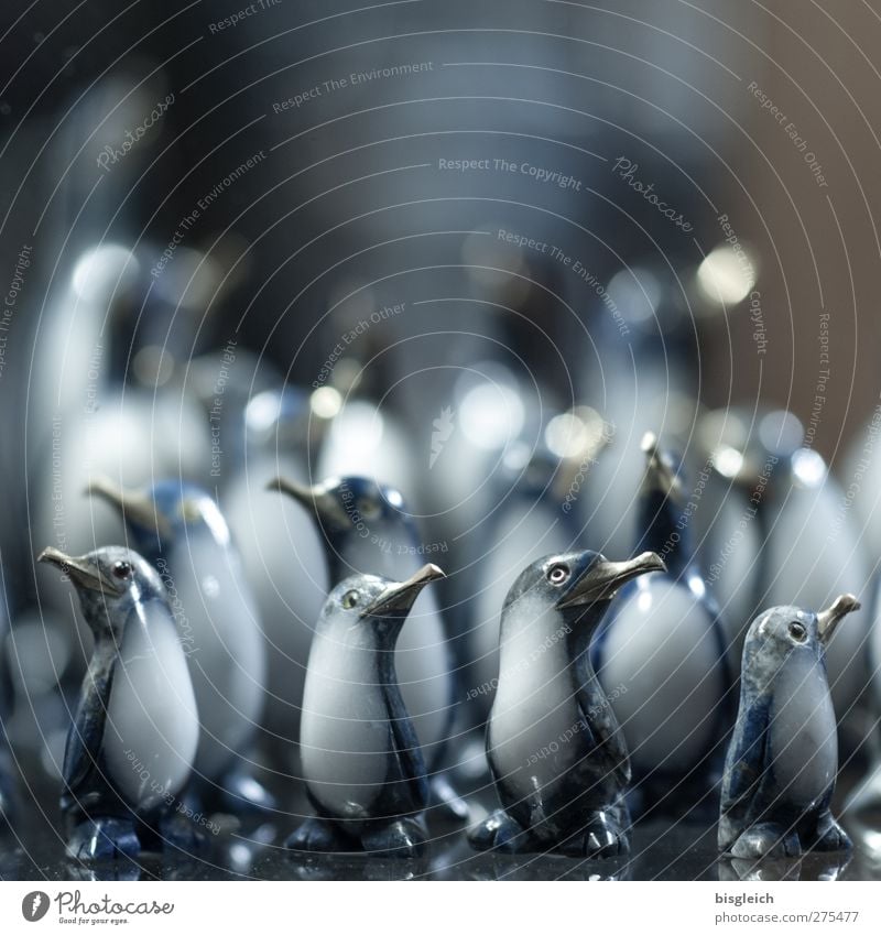 Lapislazuli-Pinguine Kunst Skulptur Vogel Tiergruppe Spielzeug Dekoration & Verzierung Kitsch Krimskrams Souvenir schön blau grau weiß Farbfoto Gedeckte Farben