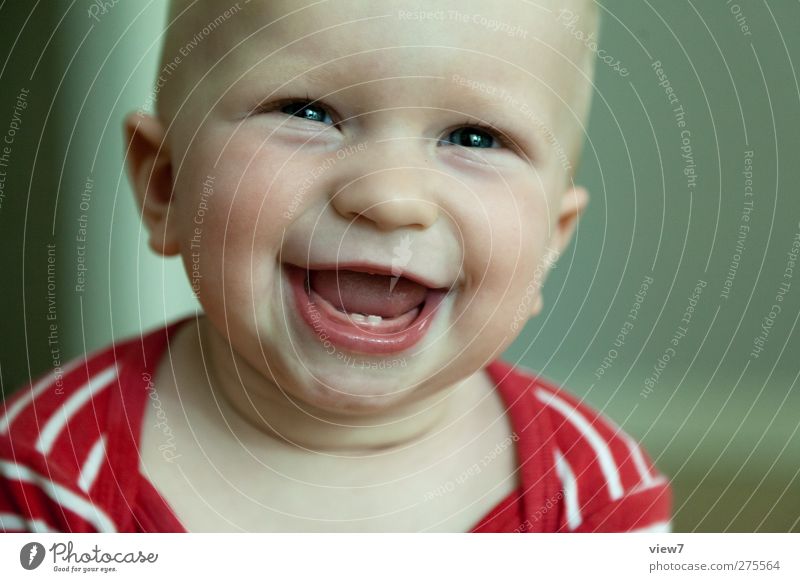 fahrkartenknipser Mensch maskulin Bruder Kindheit Kopf Gesicht Auge Ohr 1 0-12 Monate Baby beobachten Kommunizieren Lächeln lachen machen ästhetisch authentisch
