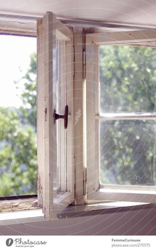 Welch schöner Tag... Haus Einfamilienhaus Hütte Erholung Dachgeschoss Fenster offen alt Fachwerkhaus Holzfenster weiß Garten Park Baumkrone Sonnenstrahlen