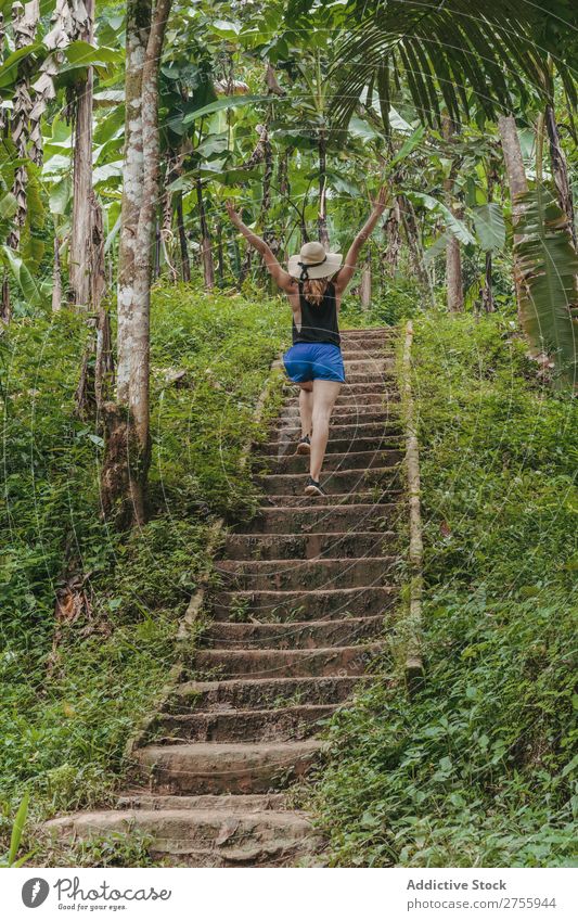 Frau beim Treppensteigen im Wald Wege & Pfade Natur tropisch Urwald grün Baum natürlich Landschaft Umwelt Ferien & Urlaub & Reisen Mischling stehen Pflanze