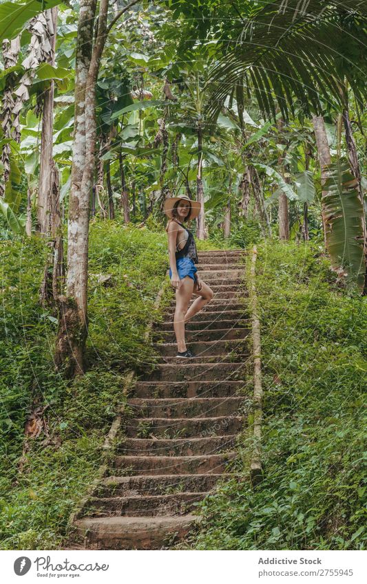 Frau beim Treppensteigen im Wald Wege & Pfade Natur tropisch Urwald grün Baum natürlich Landschaft Umwelt Ferien & Urlaub & Reisen Mischling stehen Pflanze
