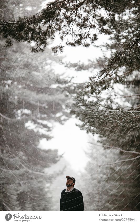 Touristen stehen im verschneiten Wald Mann Straße Winter Natur Schnee kalt Frost Jahreszeiten Landschaft weiß schön ländlich gefroren Beautyfotografie Wetter