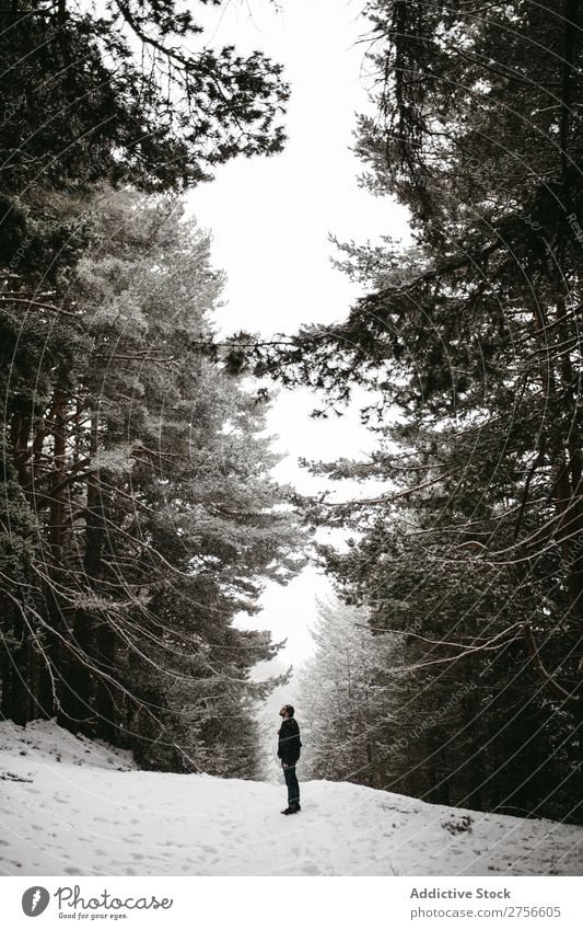 Touristen stehen im verschneiten Wald Mann Backpacker Straße Winter Natur Schnee kalt Frost Jahreszeiten Landschaft weiß schön ländlich gefroren