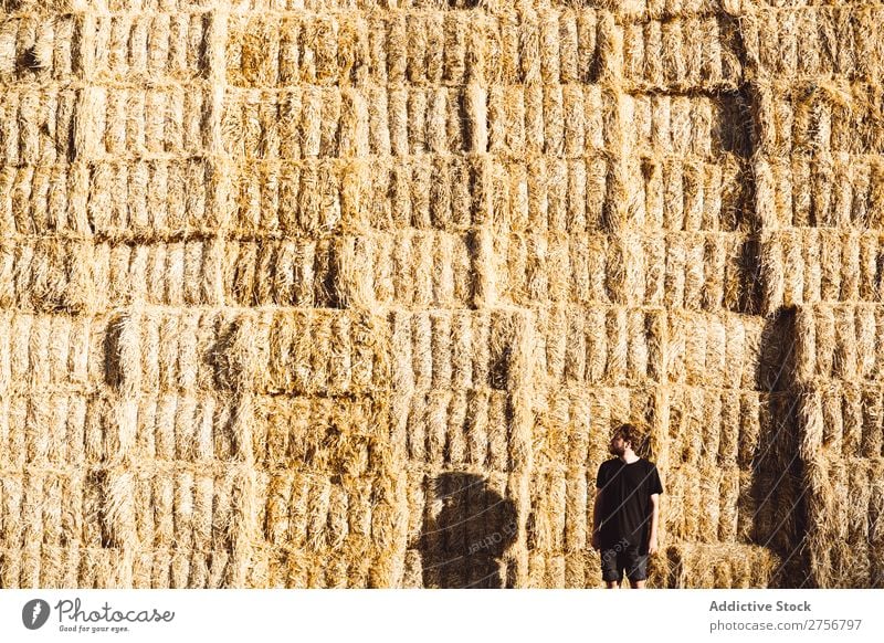 Mann vor der Wand von Heuhaufen Mensch Hintergrundbild Heugarben Haufen regenarm Trinkhalm Ackerbau Landwirtschaft Strohballen Natur Weizen gelb Stapel